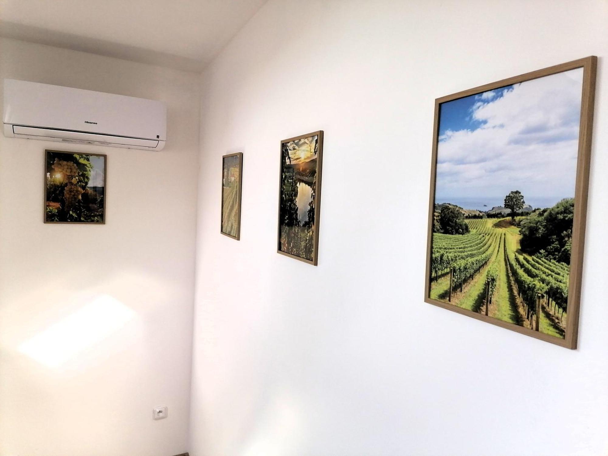 兹诺伊莫Vino Andrusiow公寓 外观 照片